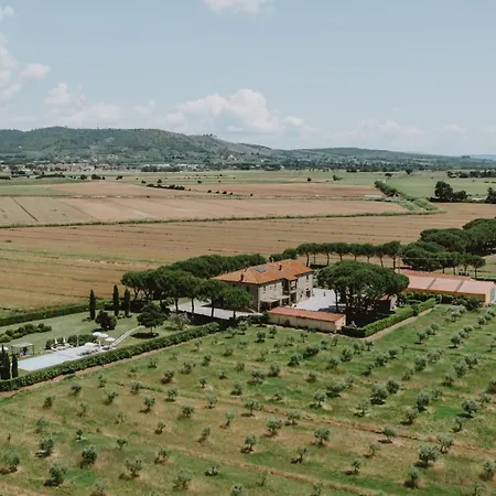 Terra Di * Cortona
