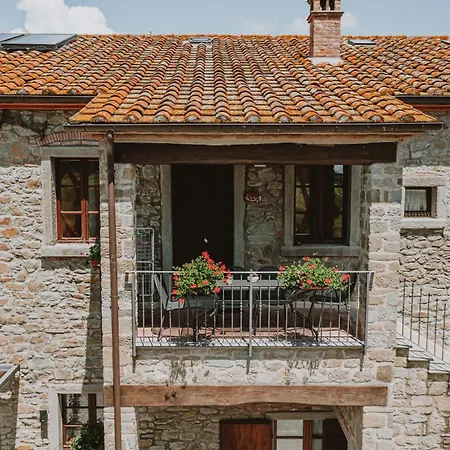 Terra Di Cortona