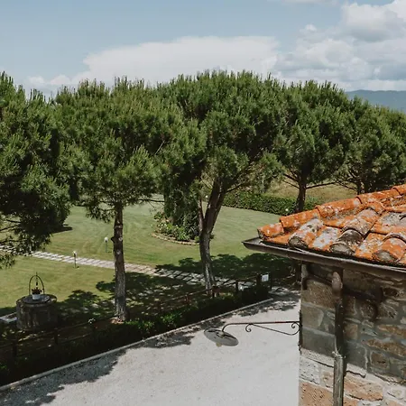 Terra Di *