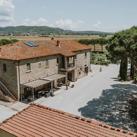 Terra Di Cortona