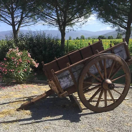 Alojamento de Turismo Rural Terra Di