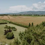 Terra Di *