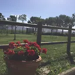 Terra Di Cortona