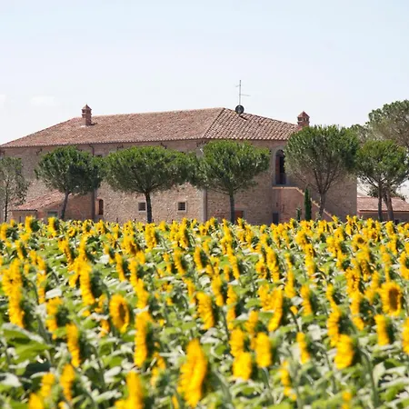 Terra Di