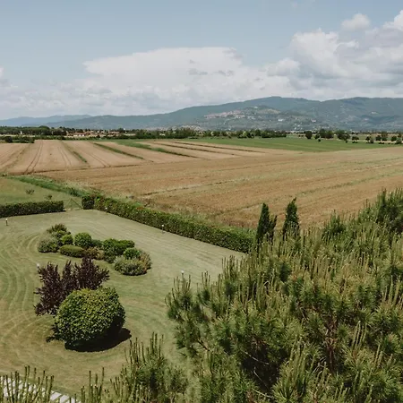 Terra Di *