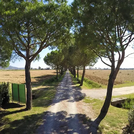 Bauernhof Terra Di Cortona
