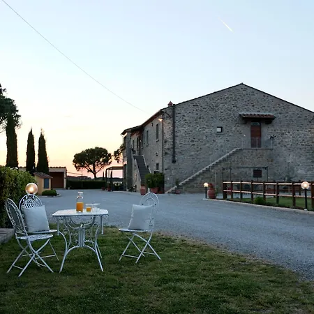 Terra Di